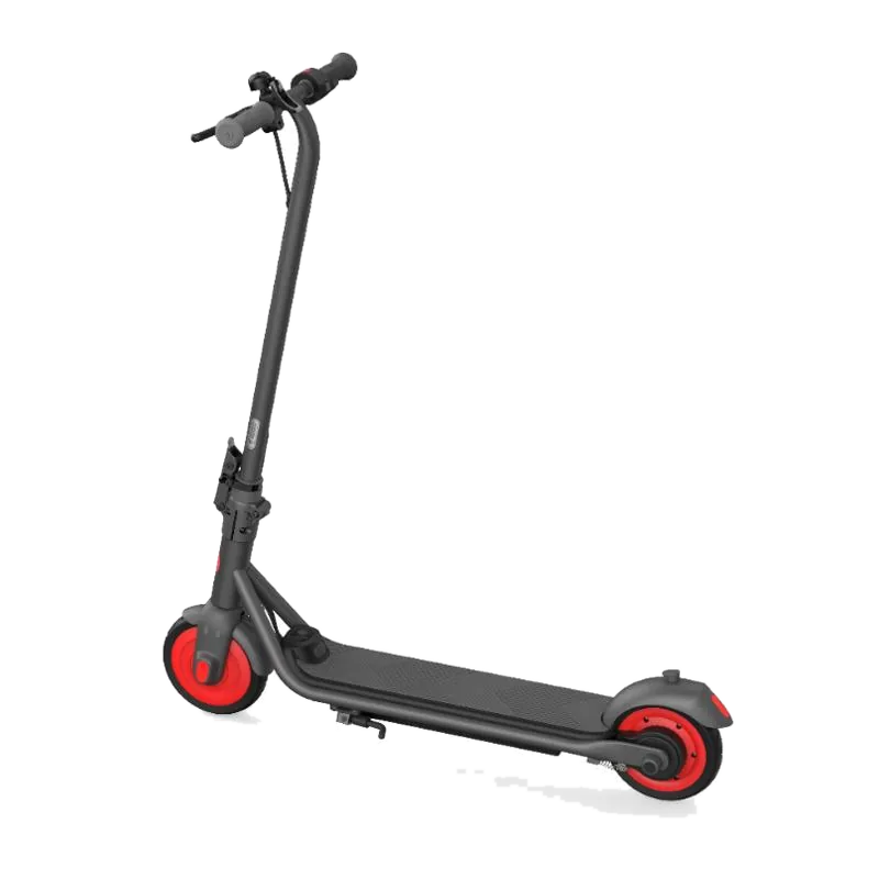 Segway-Ninebot Ninebot C20 elektrische step