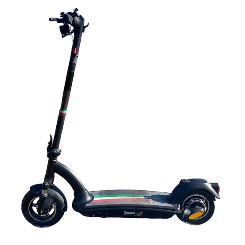 Trendiamo City II elektrische step